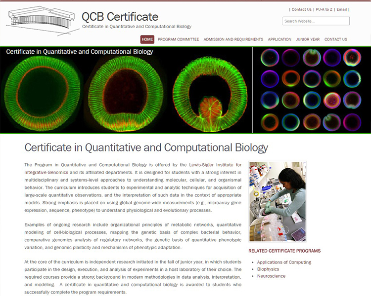 QCB Certificate